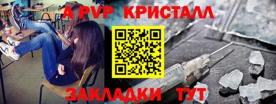 спайс Тара