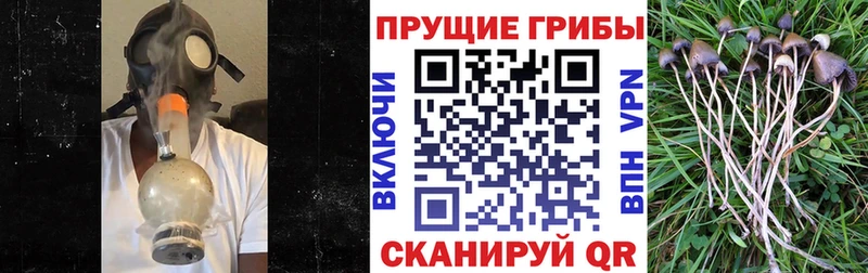 гидра   Новомосковск  Псилоцибиновые грибы ЛСД 