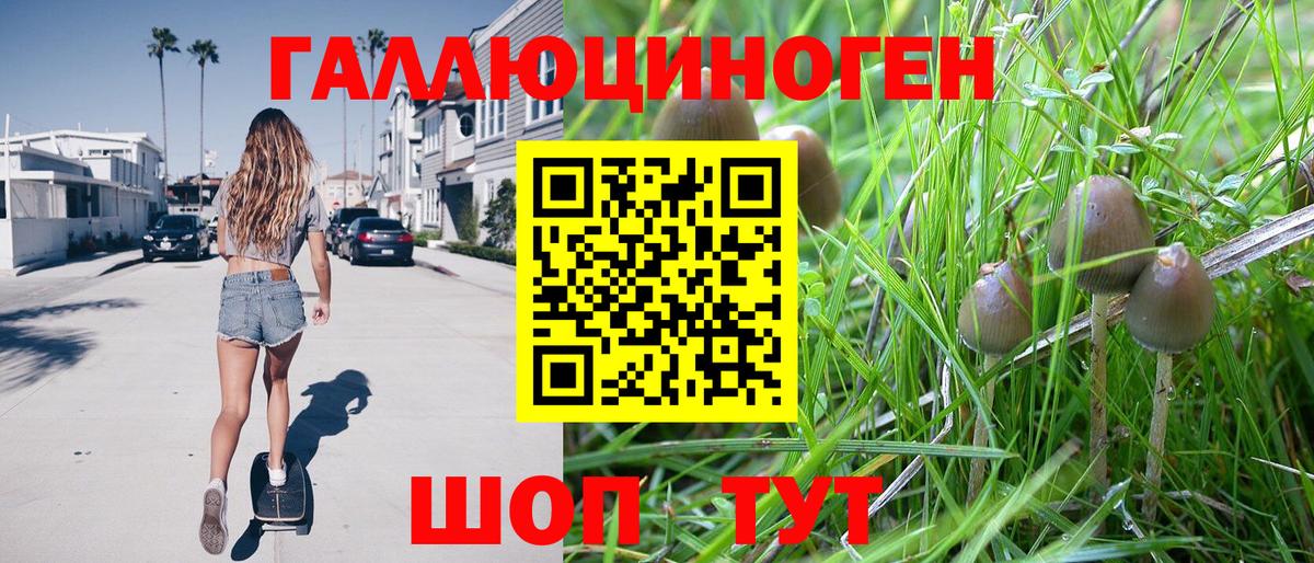 Псилоцибиновые грибы MAGIC MUSHROOMS Новомосковск