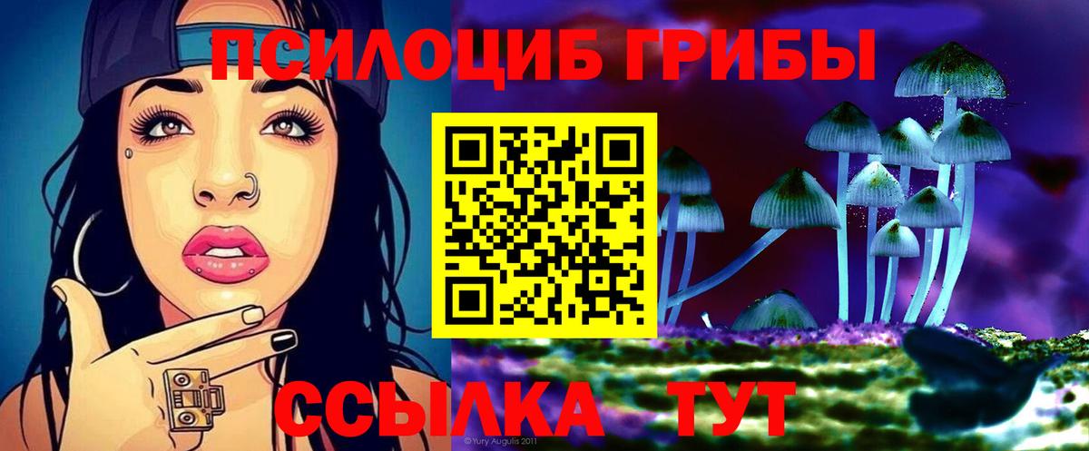 Псилоцибиновые грибы Cubensis  как найти наркотики  Новомосковск  Вход с VPN 